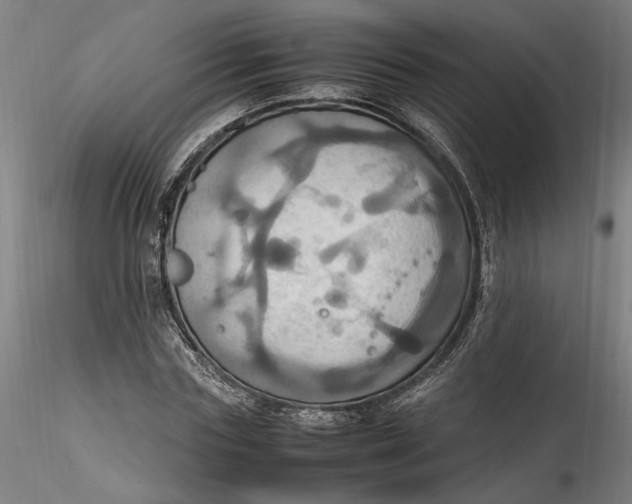 X0000115560827200911271455