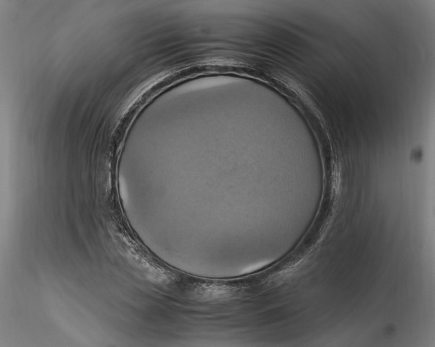 X0000115560829200911271455