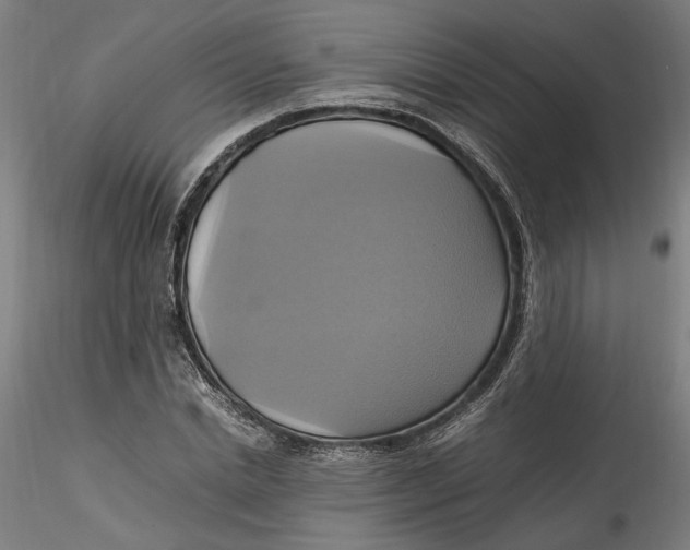 X0000115560830200911271455