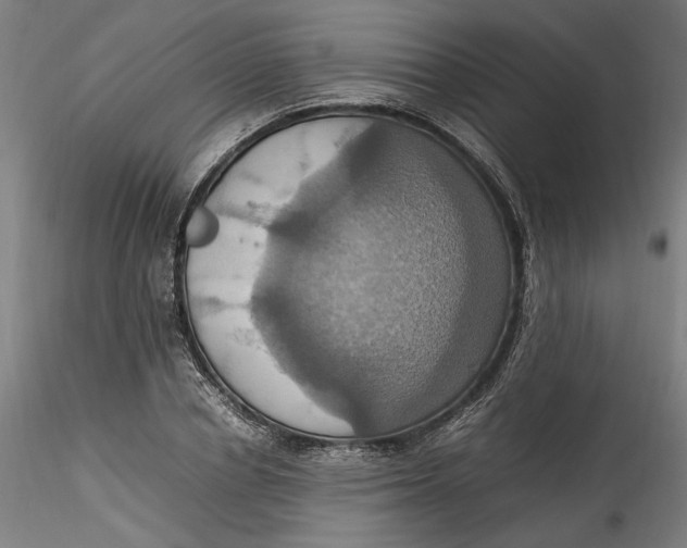 X0000115560834200911271455