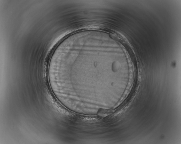 X0000115560835200911271455