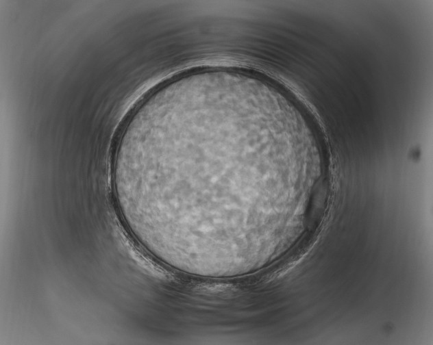 X0000115560837200911271455