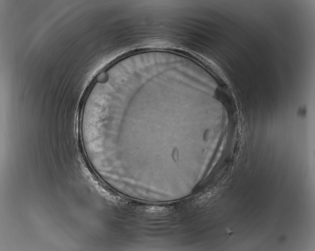 X0000115560839200911271455