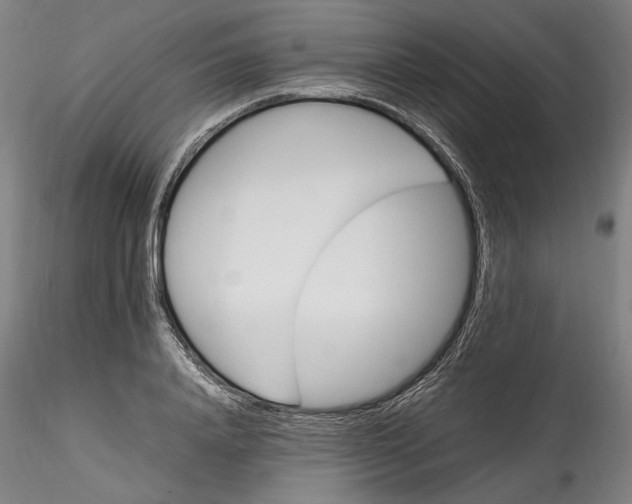 X0000115560840200911271455