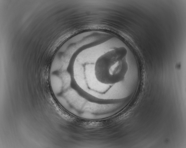 X0000115560841200911271455