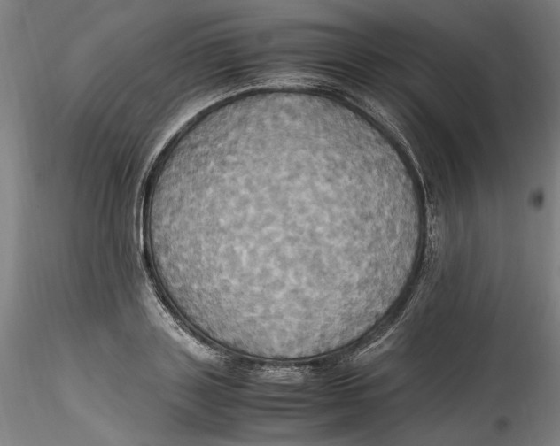 X0000115560843200911271455