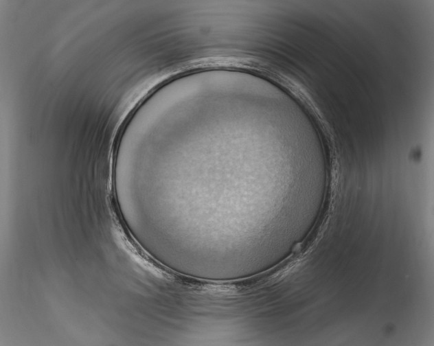 X0000115560844200911271455