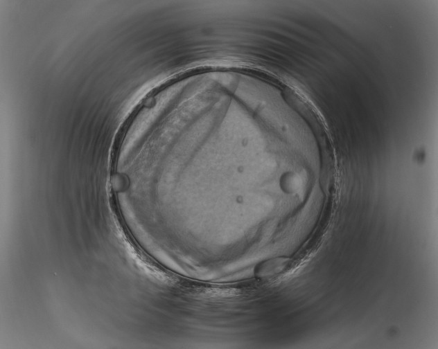 X0000115560845200911271455