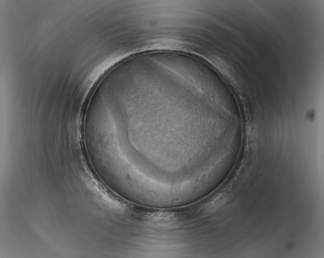 X0000115560846200911271455