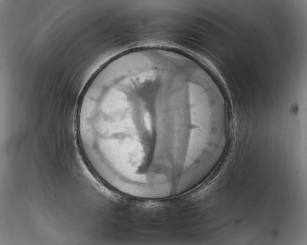 X0000115560847200911271455