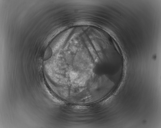 X0000115560849200911271455