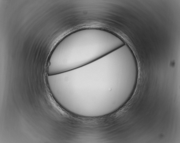 X0000115560850200911271455