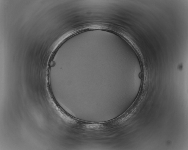 X0000115560853200911271455