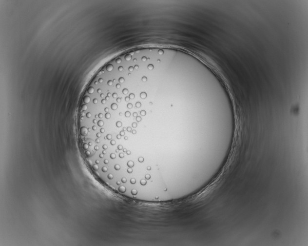 X0000115560855200911271455