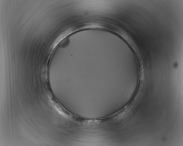 X0000115560858200911271455