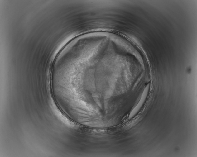 X0000115560859200911271455