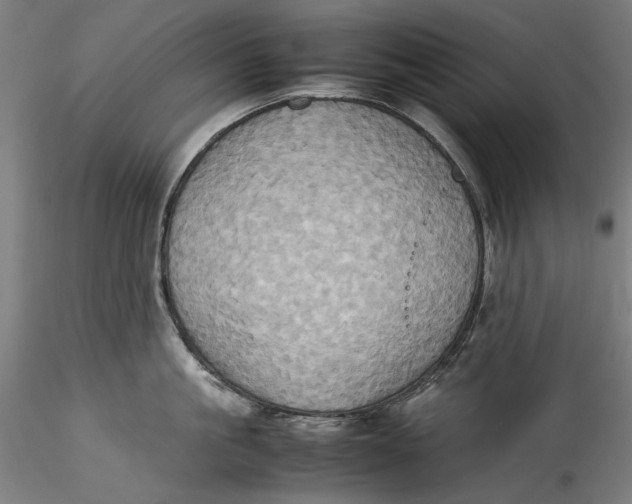 X0000115560861200911271455