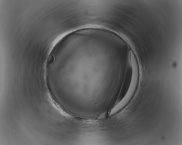 X0000115560862200911271455