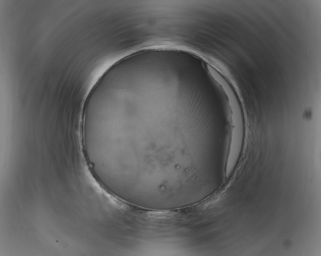 X0000115560863200911271455