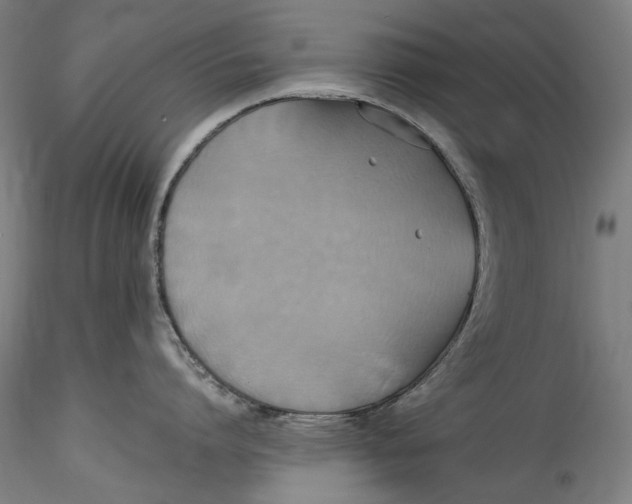 X0000115560864200911271455