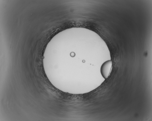 X0000115560865200911271455