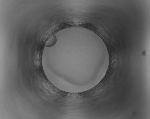 X0000115560866200911271455