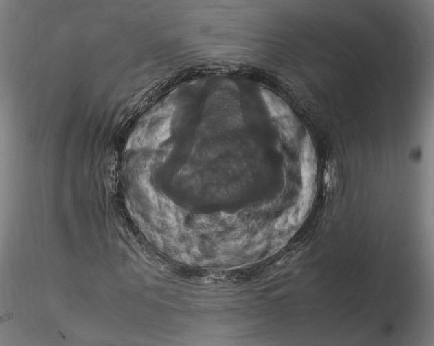 X0000115560867200911271455