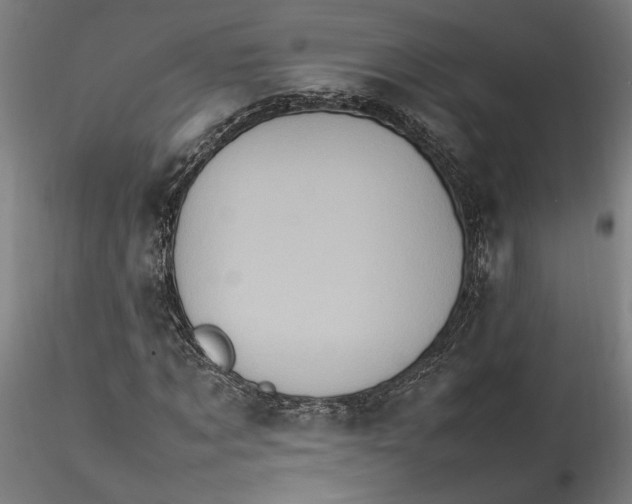 X0000115560869200911271455