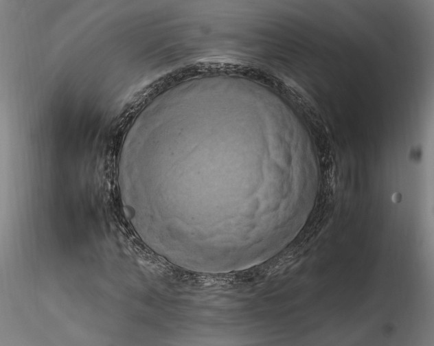 X0000115560870200911271455