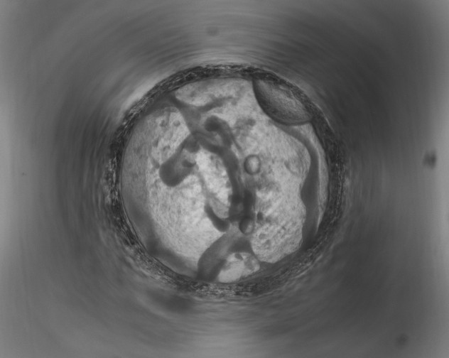 X0000115560871200911271455