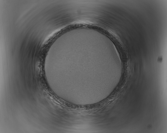 X0000115560872200911271455