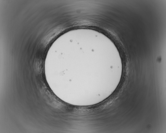 X0000115560873200911271455