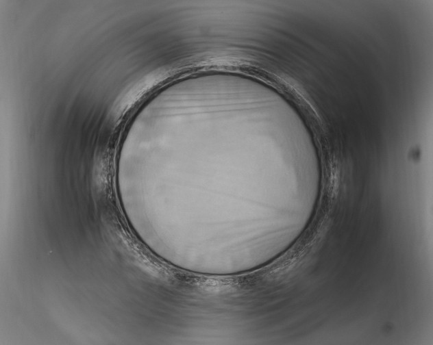 X0000115560874200911271455