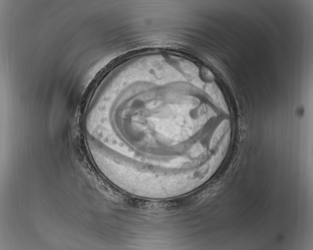 X0000115560875200911271455