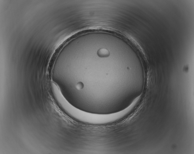 X0000115560876200911271454