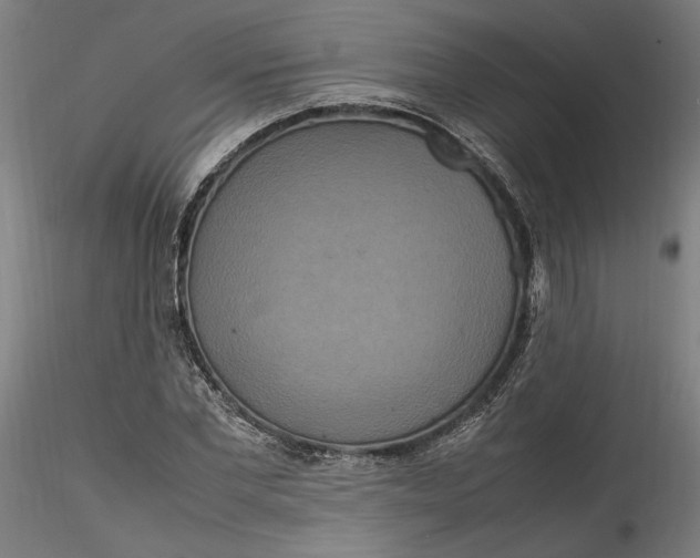 X0000115560877200911271454