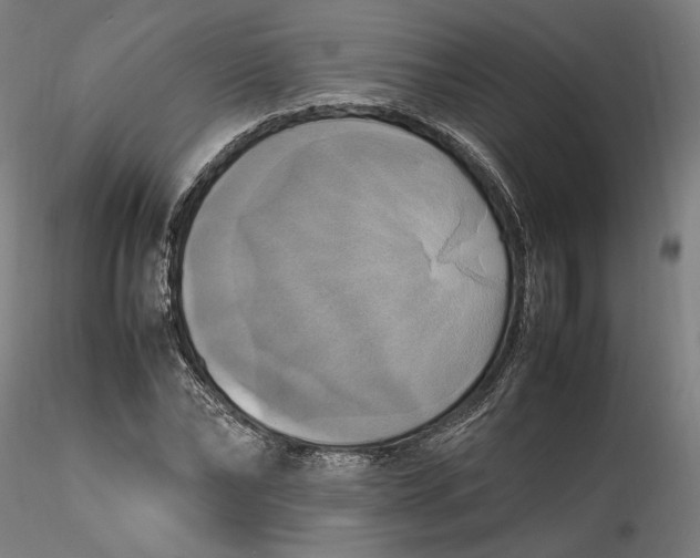 X0000115560878200911271454