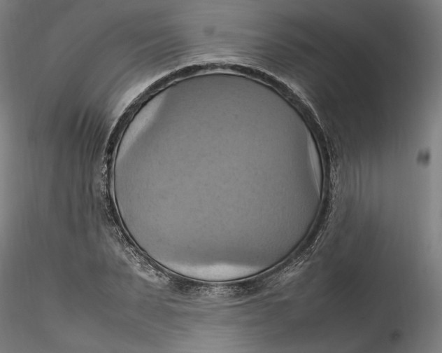 X0000115560879200911271454