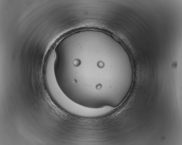 X0000115560880200911271454