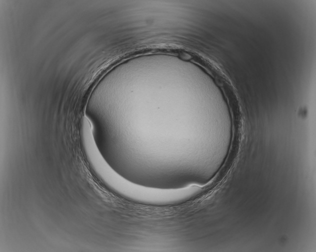 X0000115560881200911271454