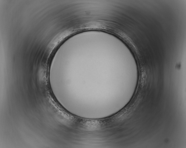 X0000115560882200911271454