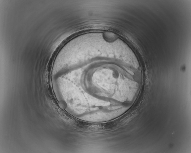 X0000115560883200911271454