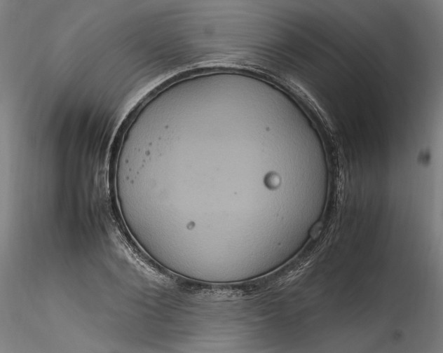 X0000115560884200911271454