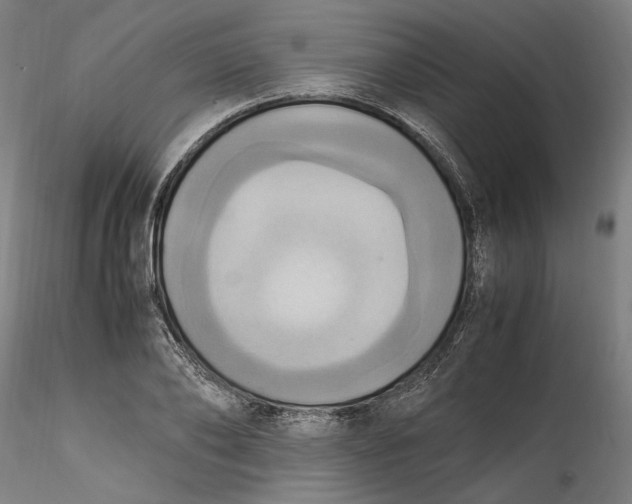 X0000115560886200911271454