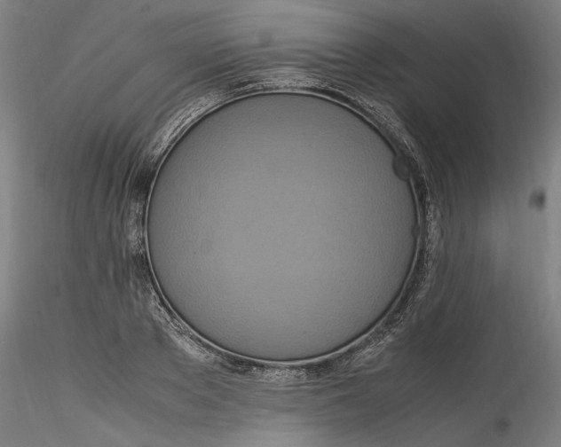 X0000115560889200911271454