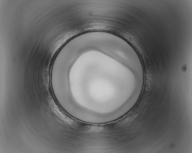 X0000115560890200911271454