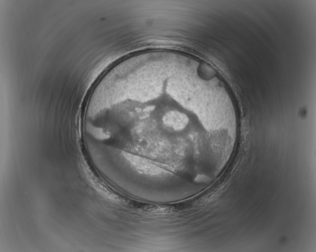 X0000115560891200911271454