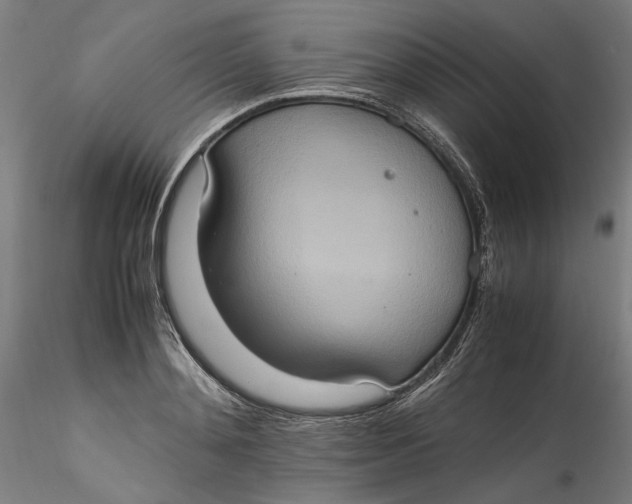 X0000115560892200911271454