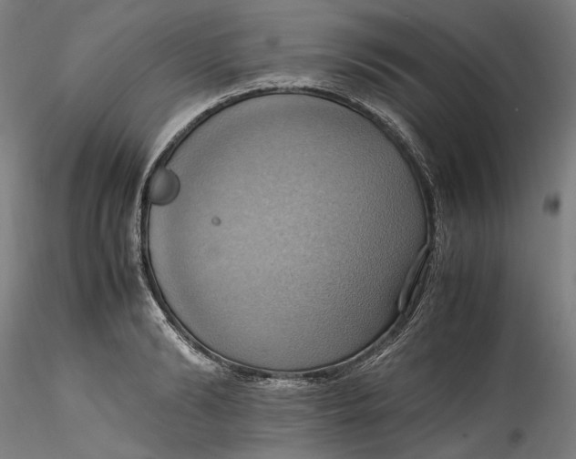 X0000115560894200911271454