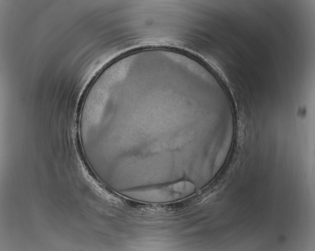 X0000115560895200911271454